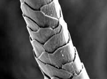 Du fil au tissu : l’aventure textile du paléolithique à l&rsquo;Age des&nbsp;métaux