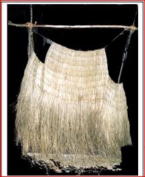 A propos du manteau de la momie des glaces&nbsp;(2005)